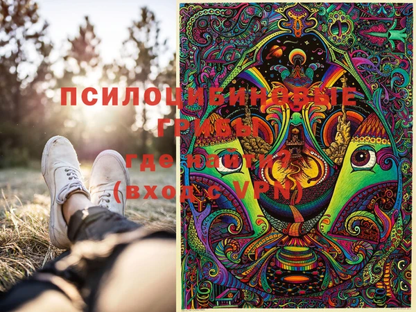 прущая мука Абаза